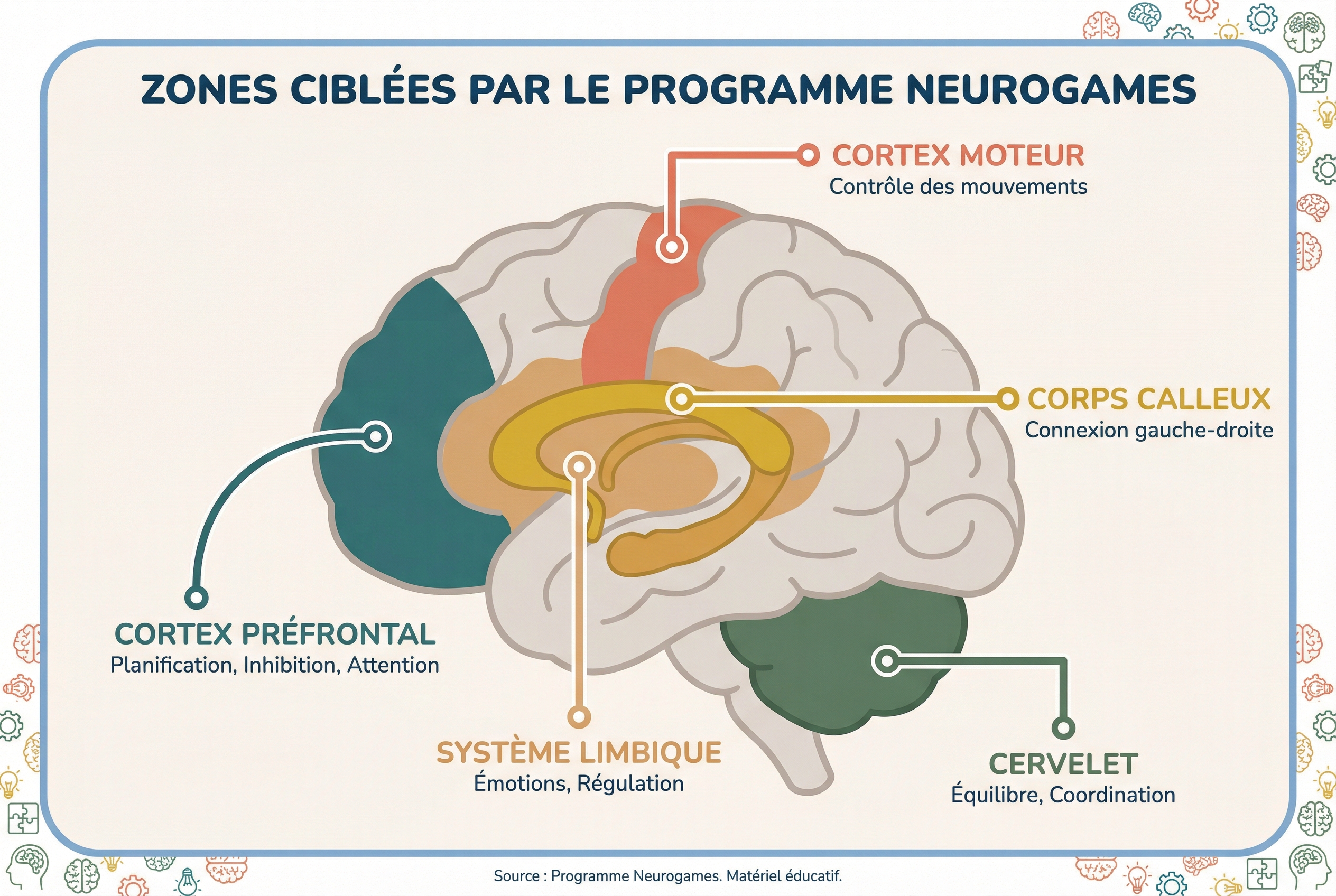 Zones du cerveau